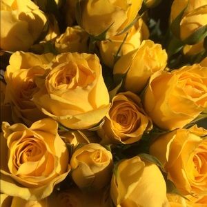 Meet your Posher, Alexa